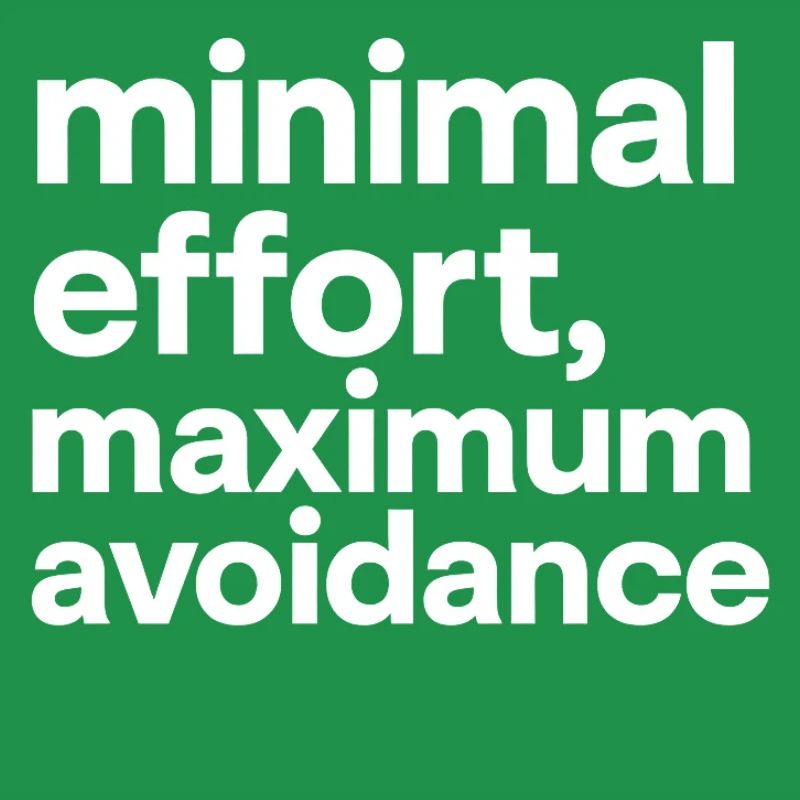 minimal effort maximum avoidance | Ironie, Minimal