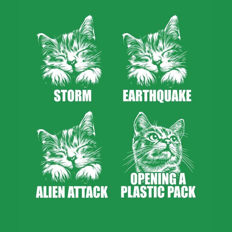 Cat - selective perception - saying