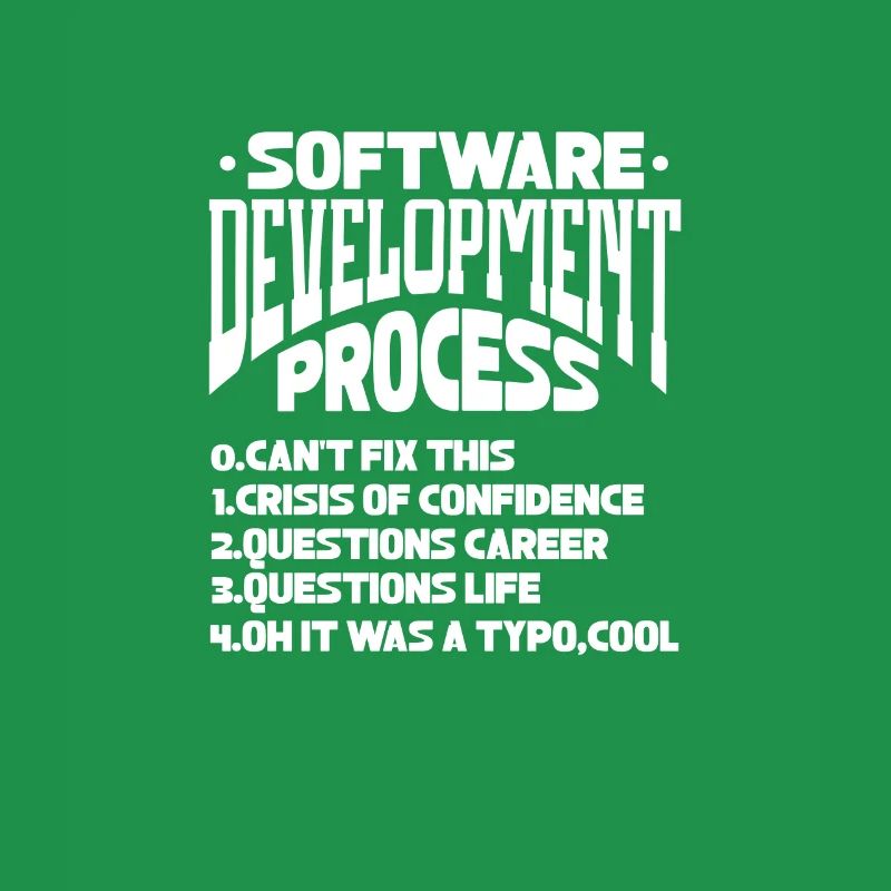 Software Developer Programmer Software