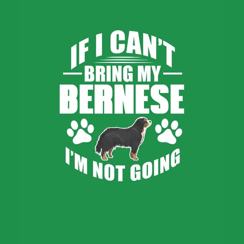 Bouvier bernois
