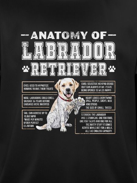 Labrador