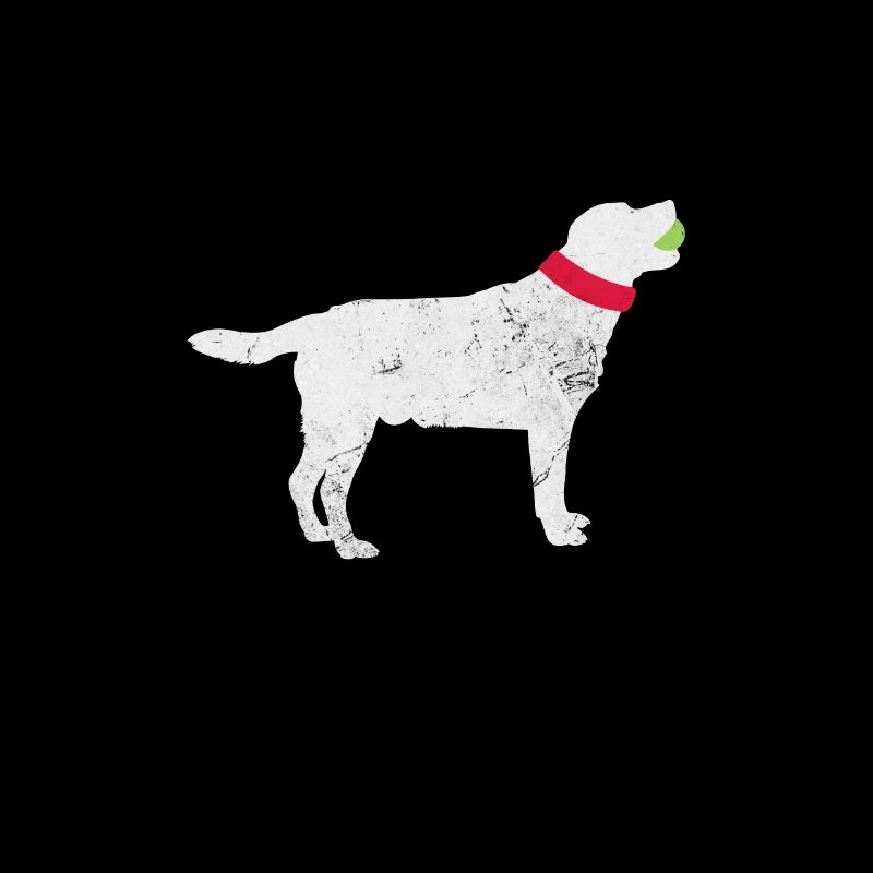 Labrador