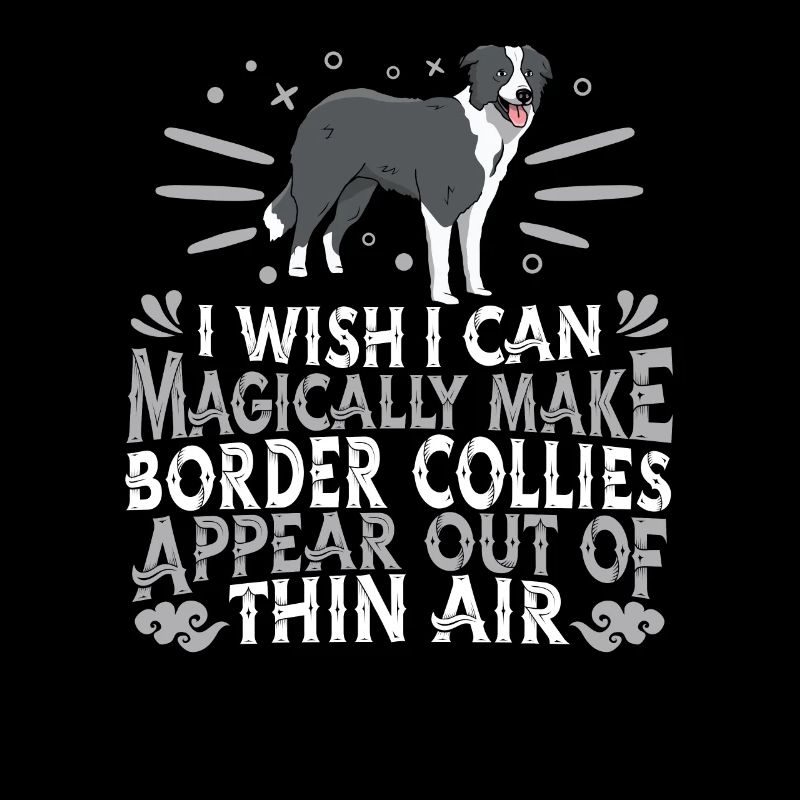 Border Collie Chien