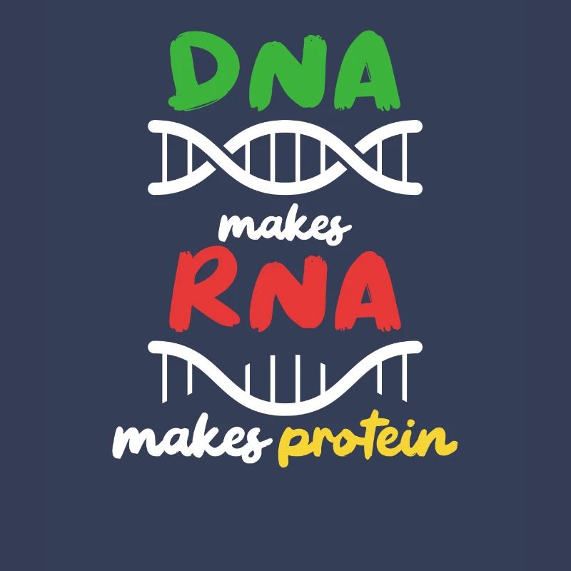 Aus DNA wird RNA wird Protein