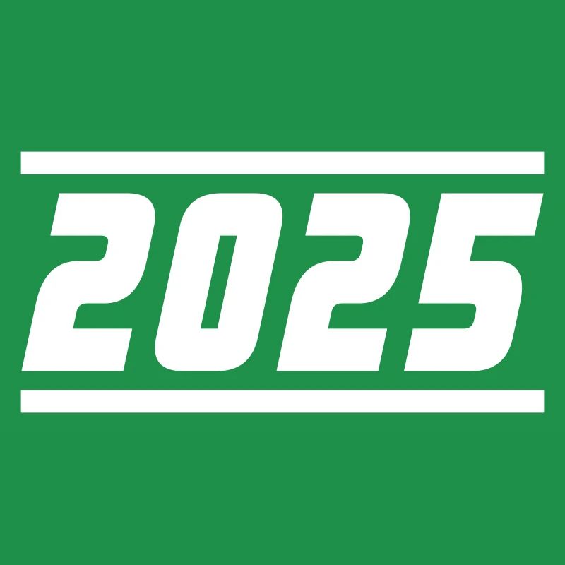 2025 year