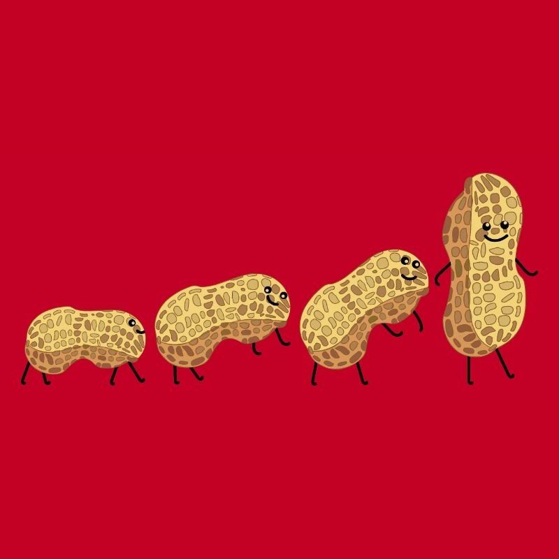 Évolution de l’arachide