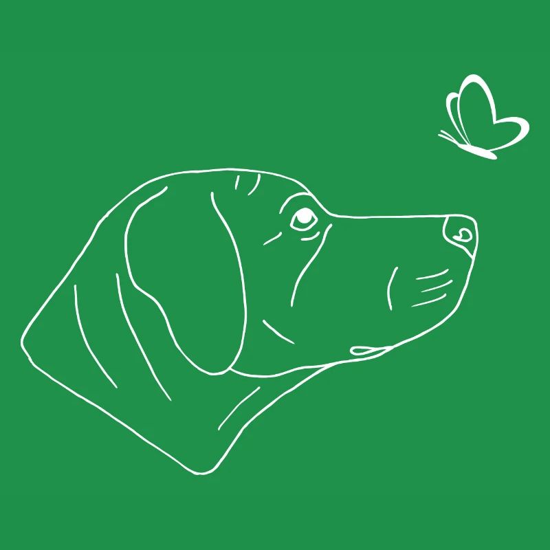 Rhodesian Ridgeback mit Schmetterling