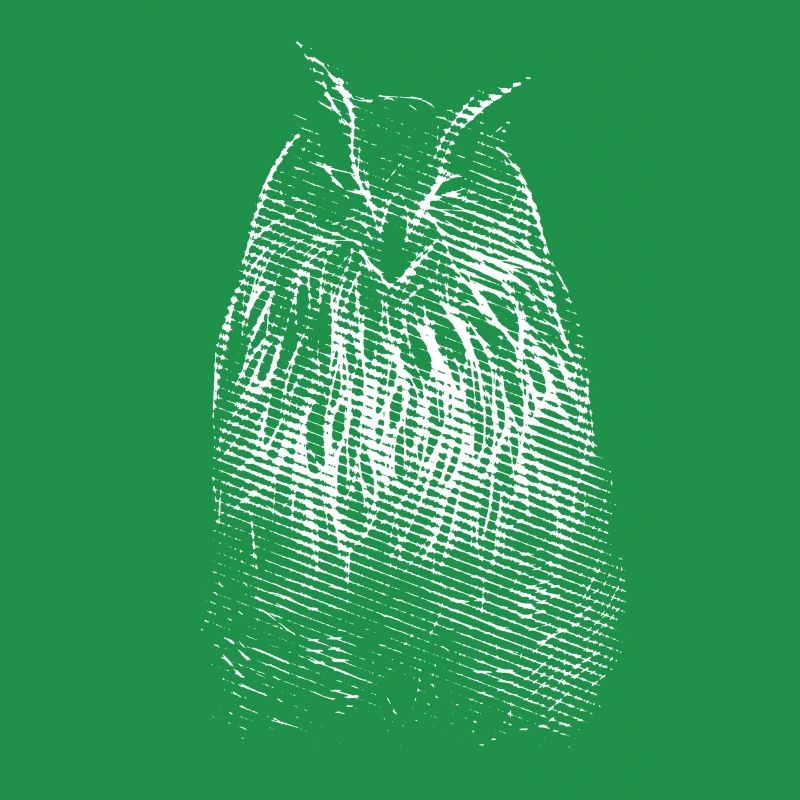 Das Lächeln von Herrn Owl. Eule, Eule