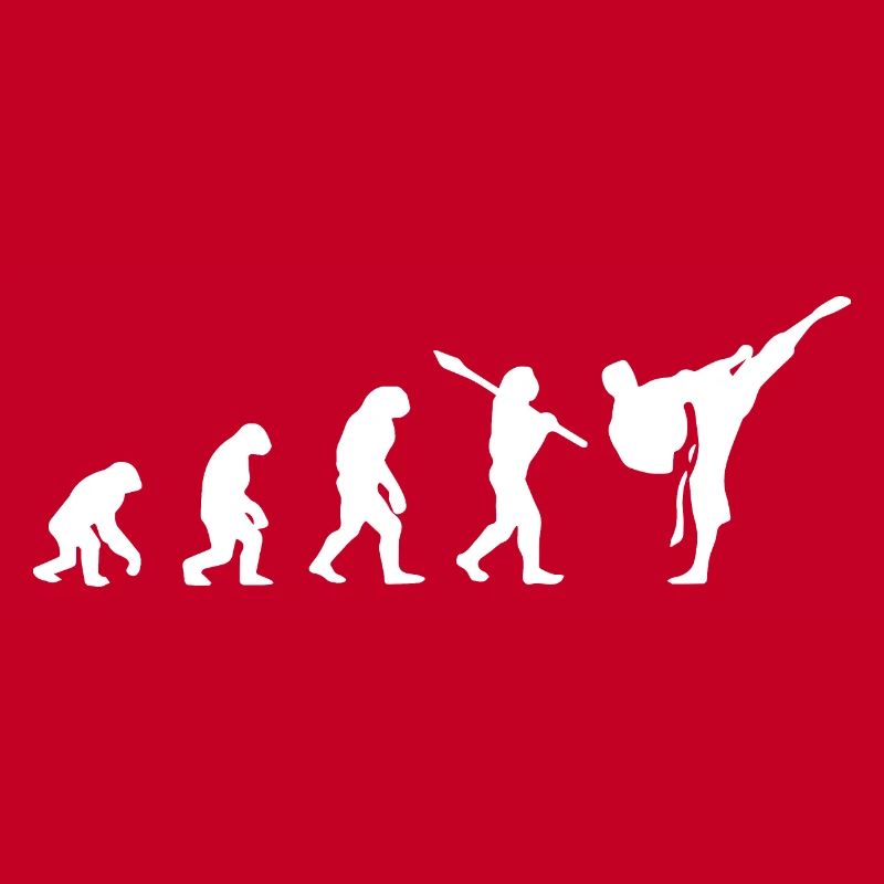 Karate Evolution Development Martial Art