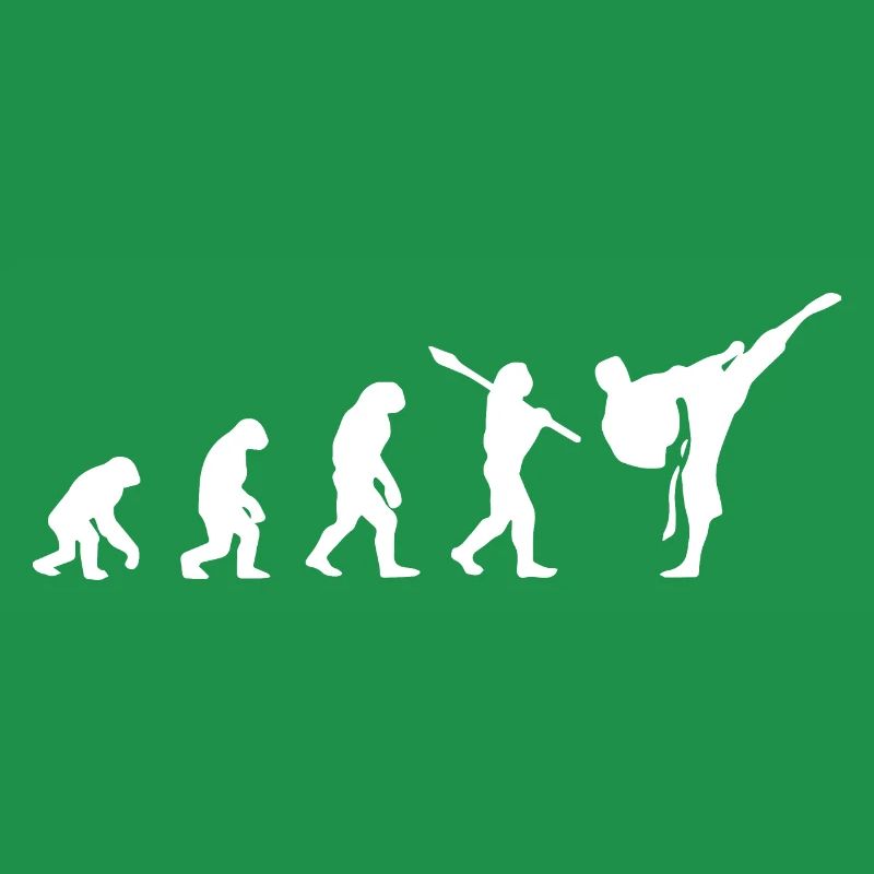 Karate Evolution Development Martial Art