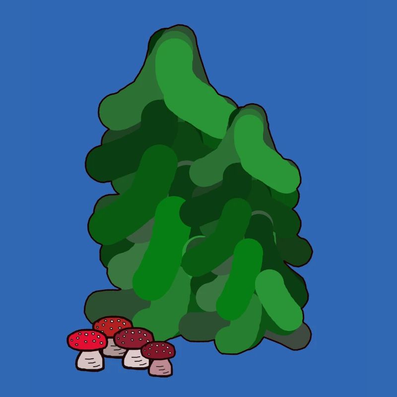 October Autumn Forest Fir Trees Toadstools Mushrooms