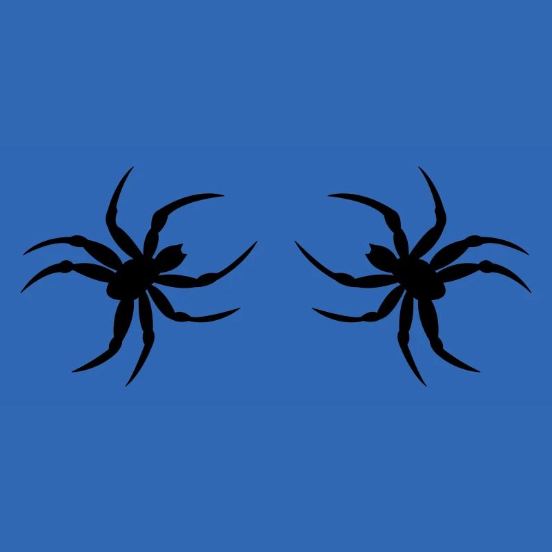 spinne02