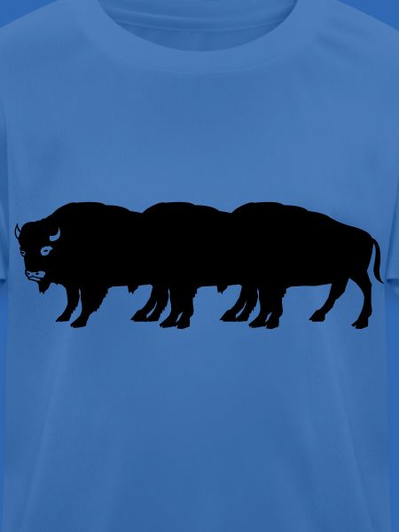 bisons