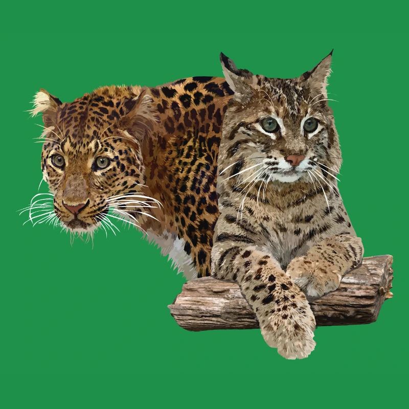 Leopard and lynx