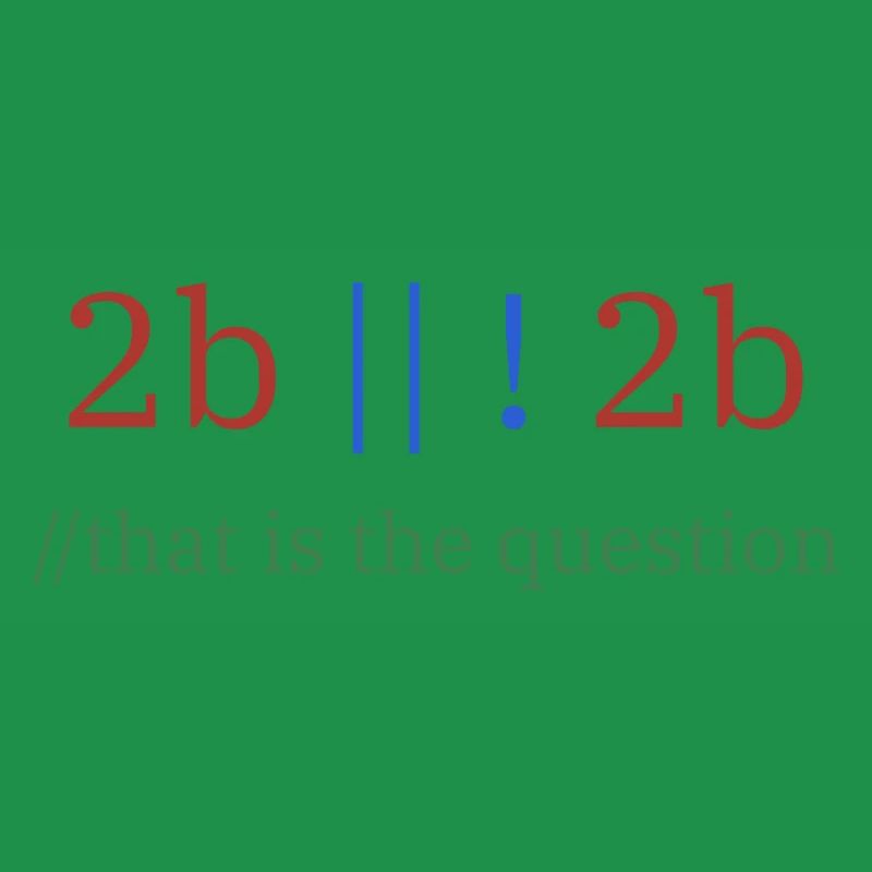 2b || !2b /To be or not to be/ Programmer