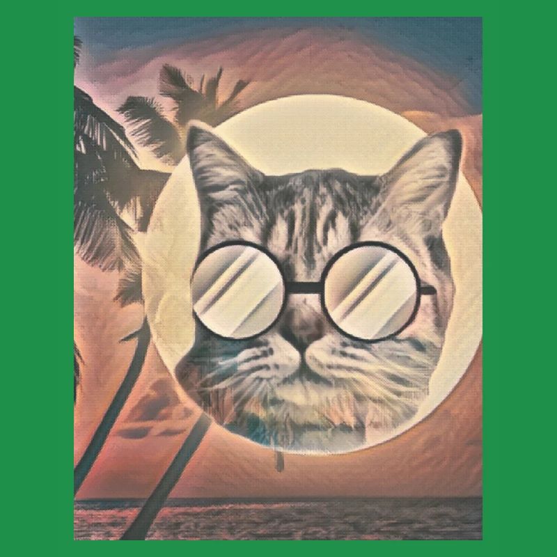 Saveur d’été de chat