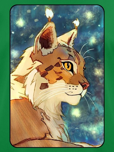 Luchs im Profil