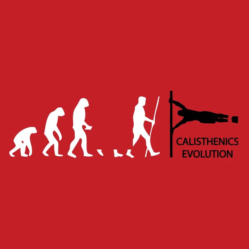 Calisthenics Human Flag Evolution