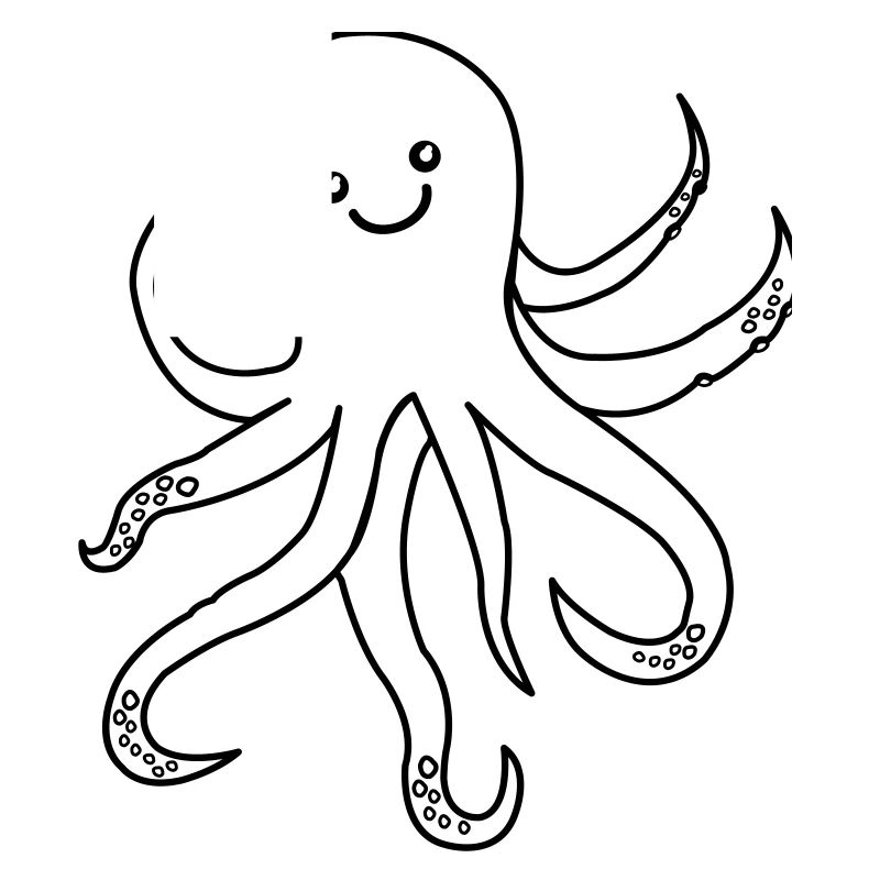 krake oktopus