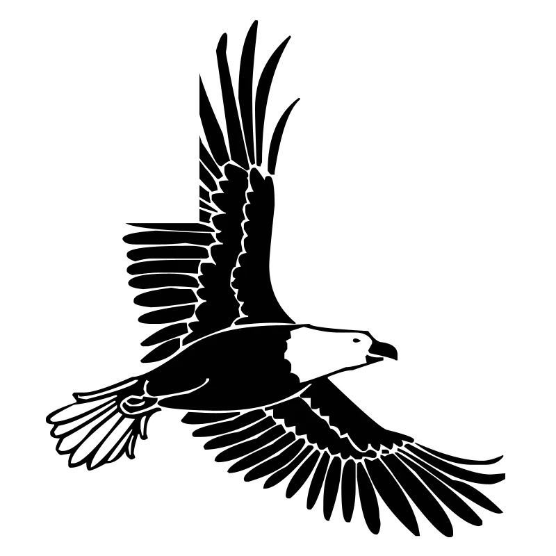 Aigle