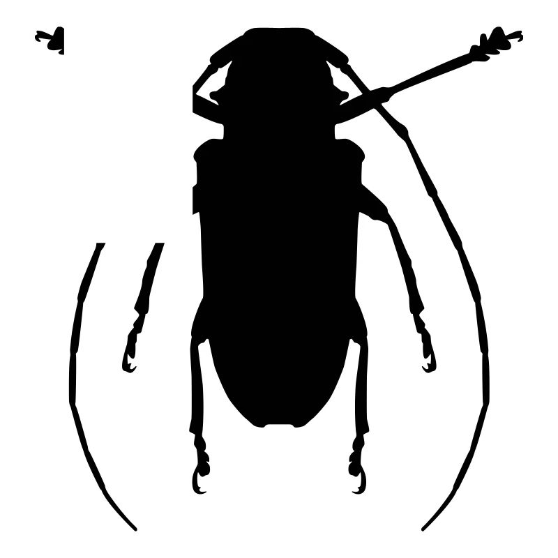Käfer