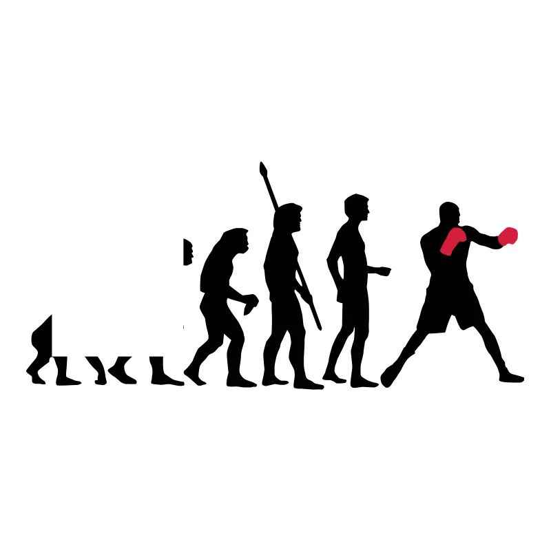 evolution_boxen_b_2c