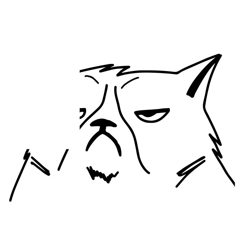 grumpy cat