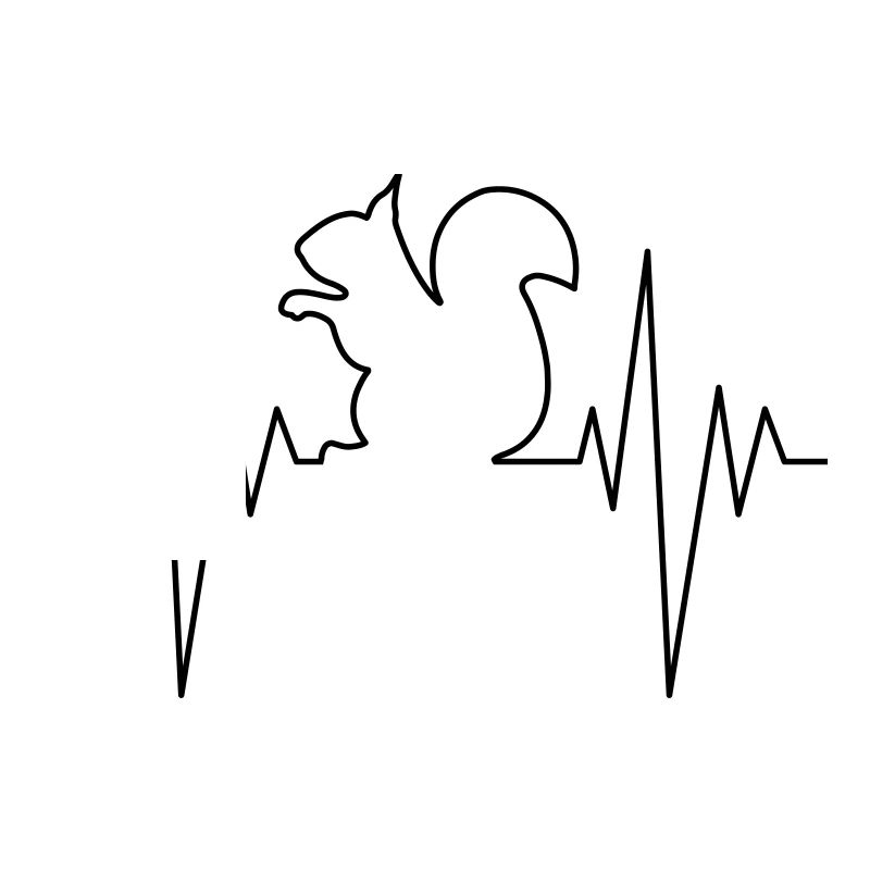 Squirrel Pulse