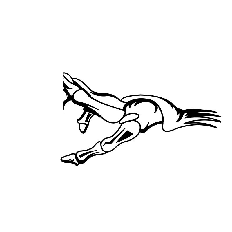 skelett_hand
