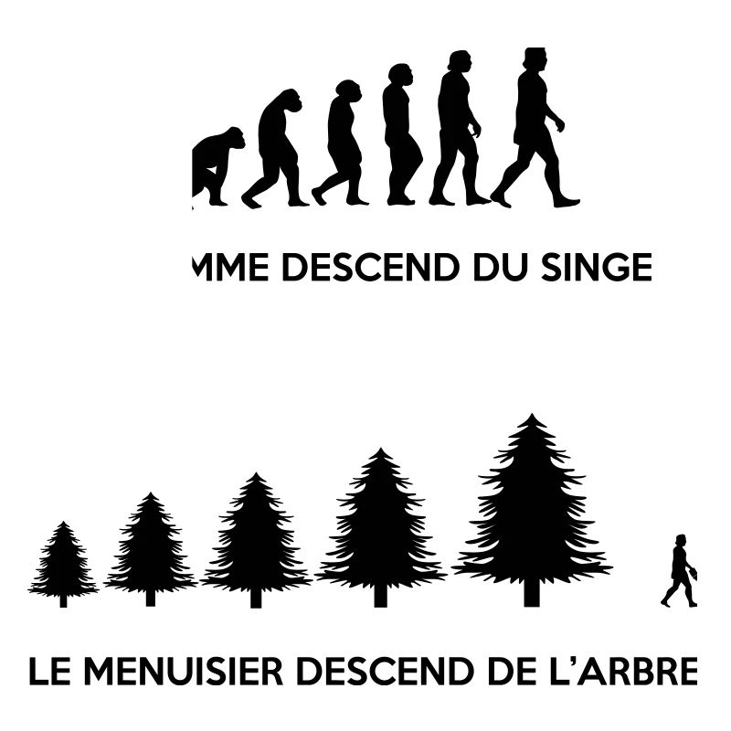 Evolution du menuisier