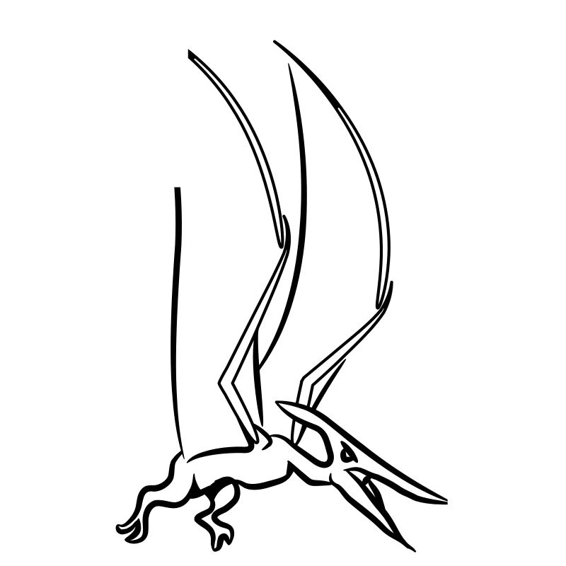 Saurien Pteranodon ptérodactyle