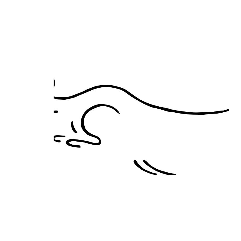 känguruh