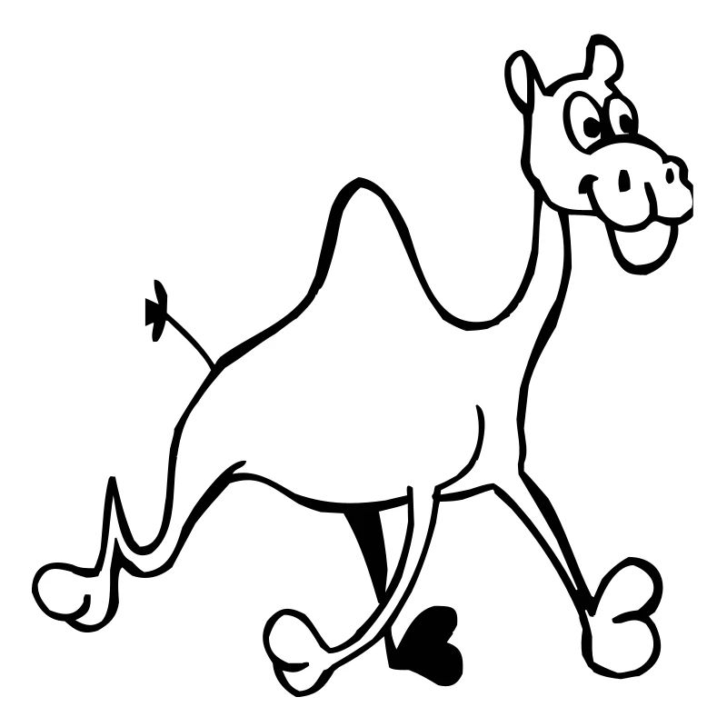 Camel drôle