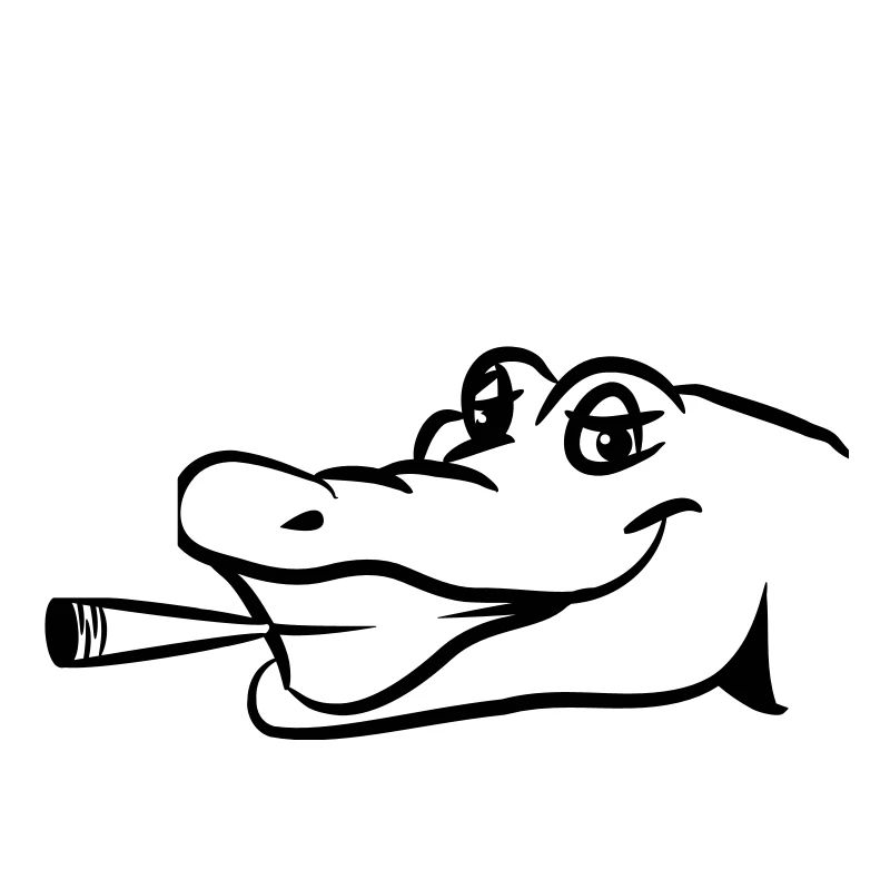 Crocodile funny naughty joint kiffen head
