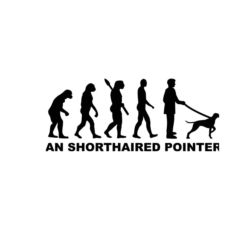German Shorthaired Pointer