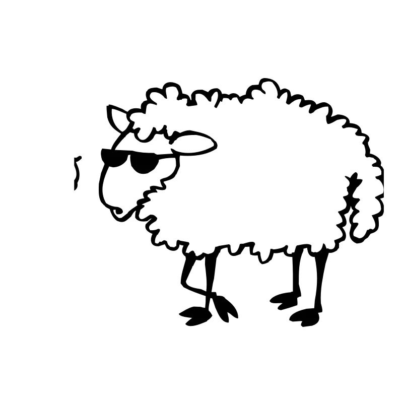 Cool sheep