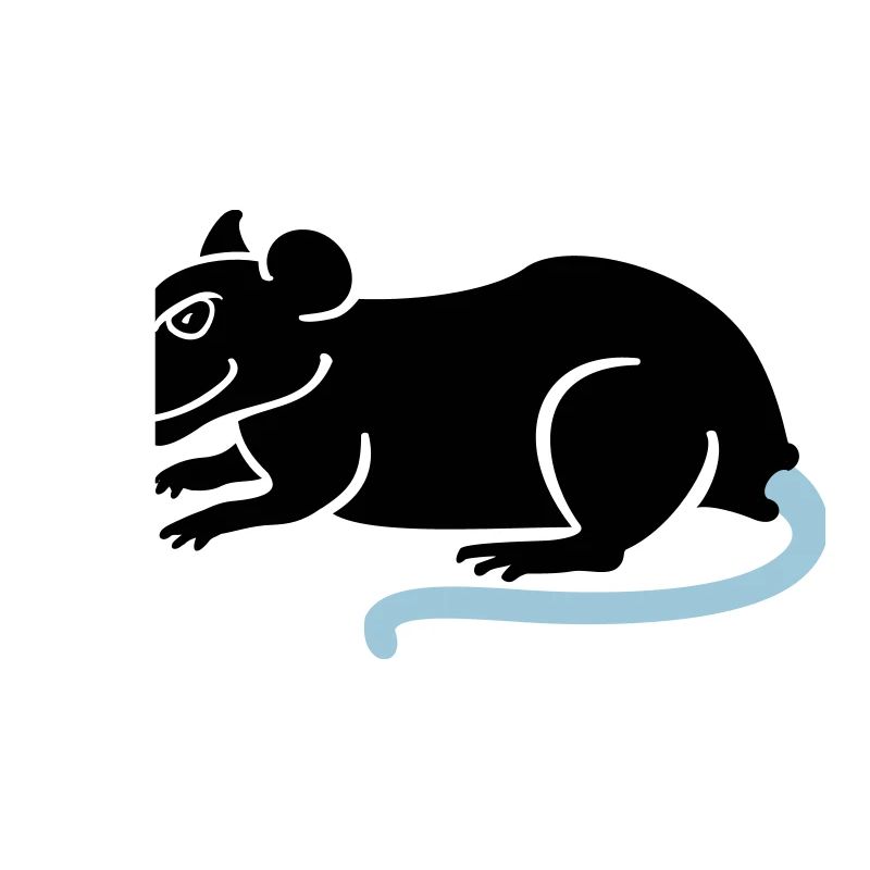 raton / rat (2c)