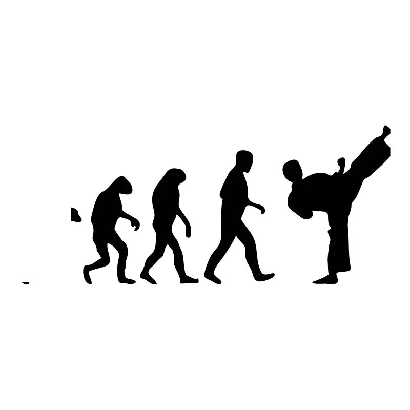 fight evolution karate teakwondo fighter kick