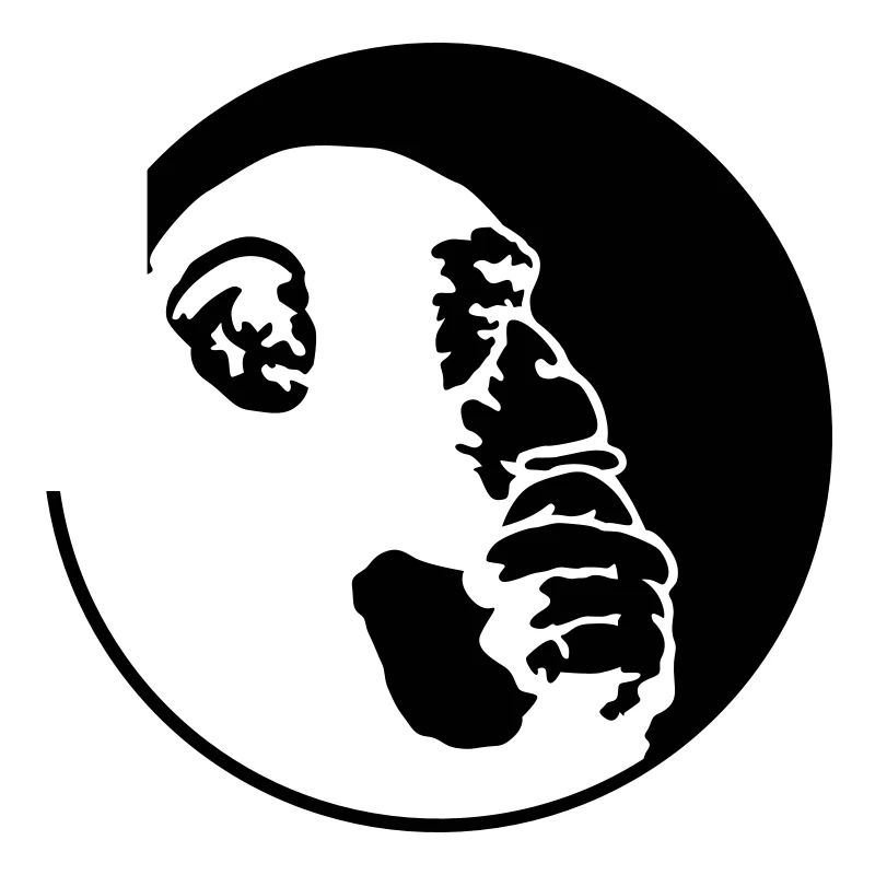 chimpanzee