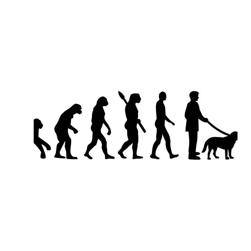 Évolution Chien