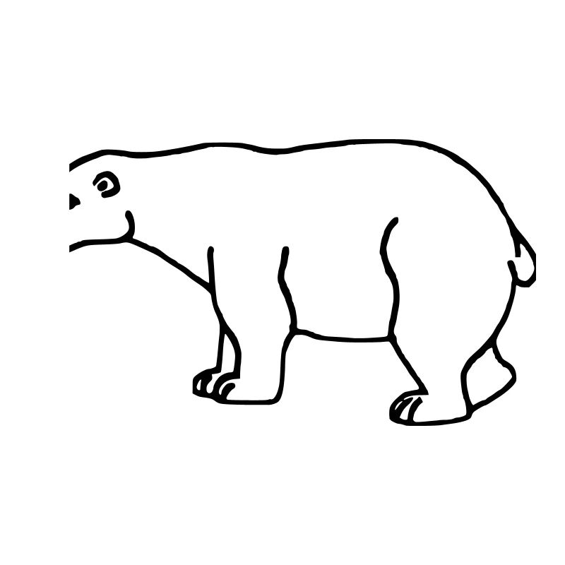 Un ours blanc