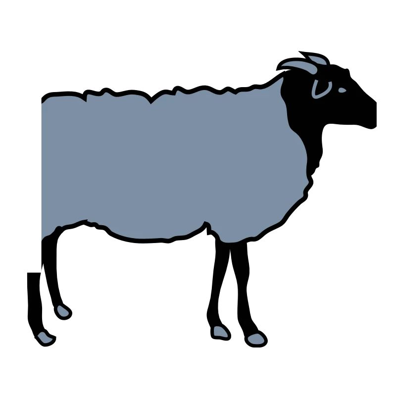 sheep