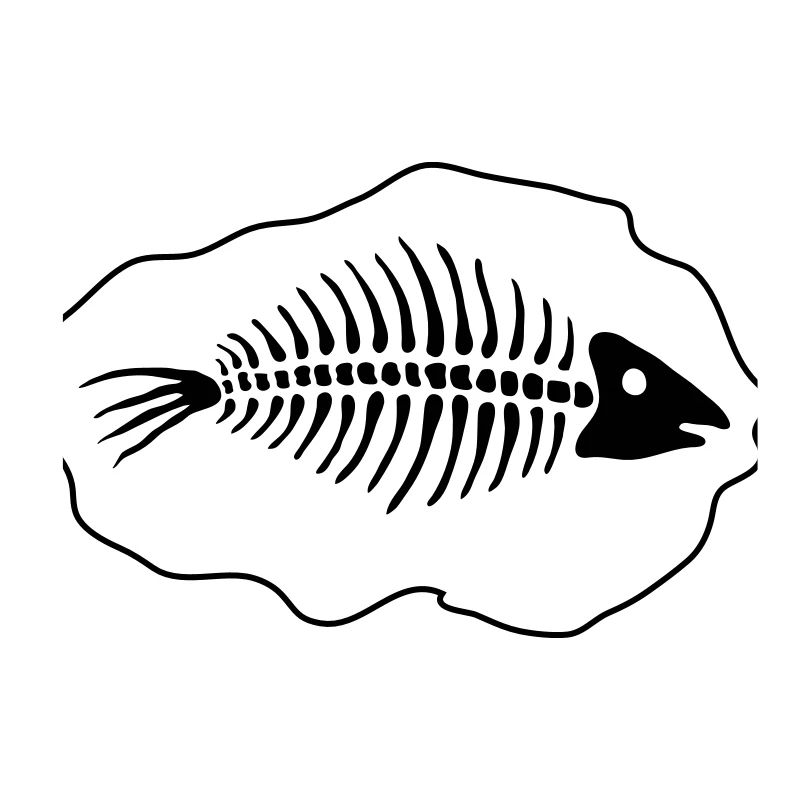 fish _fossil_2_fp2