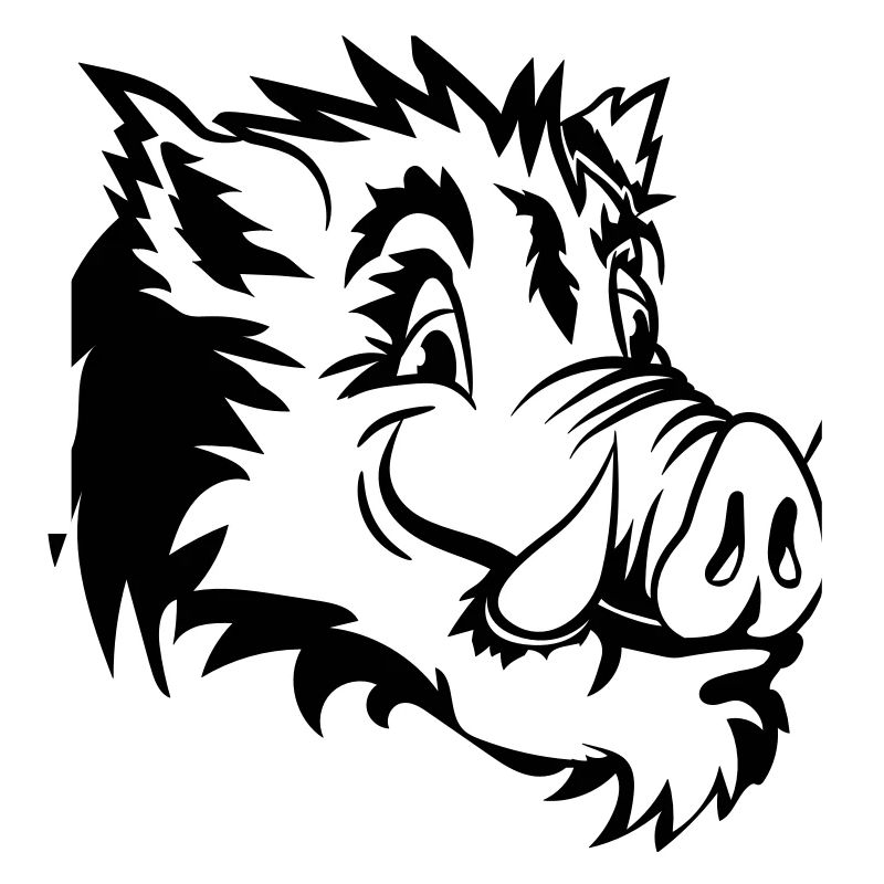 Wild boar head funny