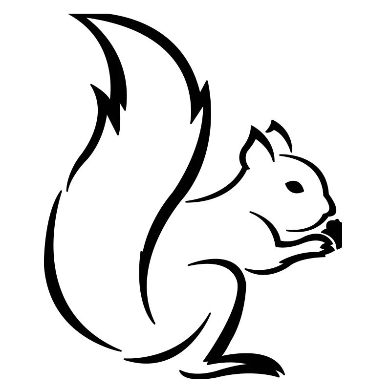 Squirrel