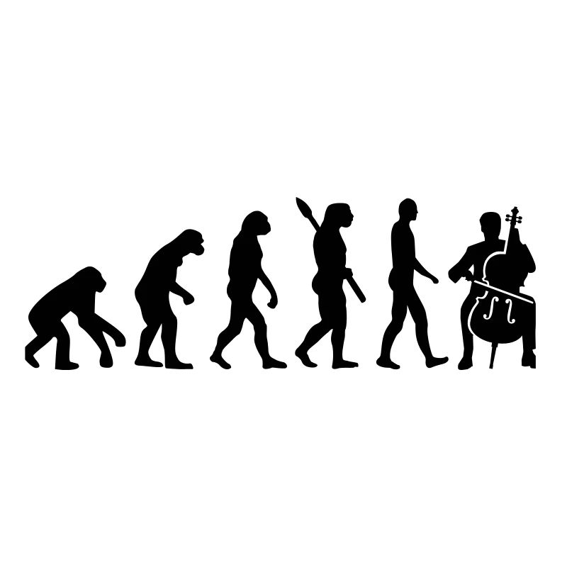 Evolution Cello