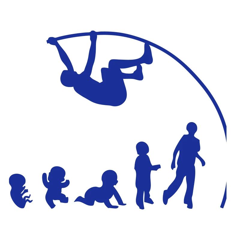 Evolution pole vault perch