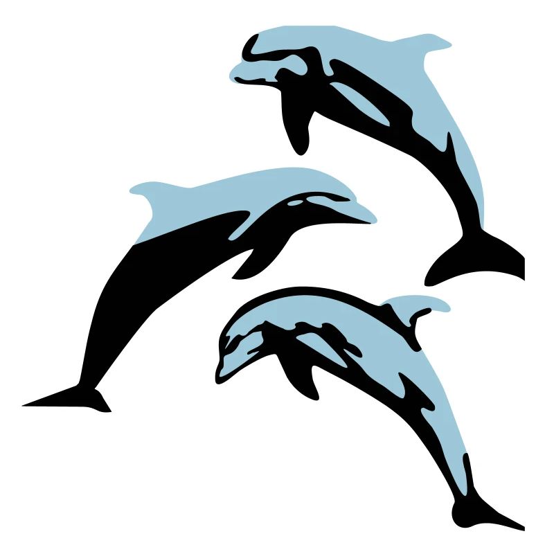 Dolphins - dauphins