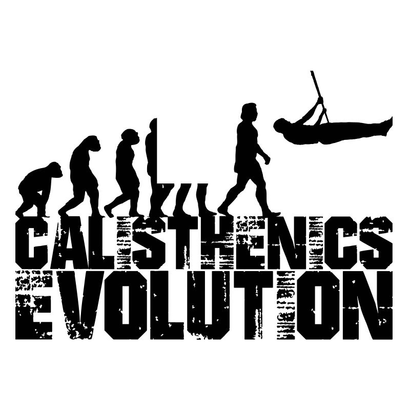 calisthenics evolution