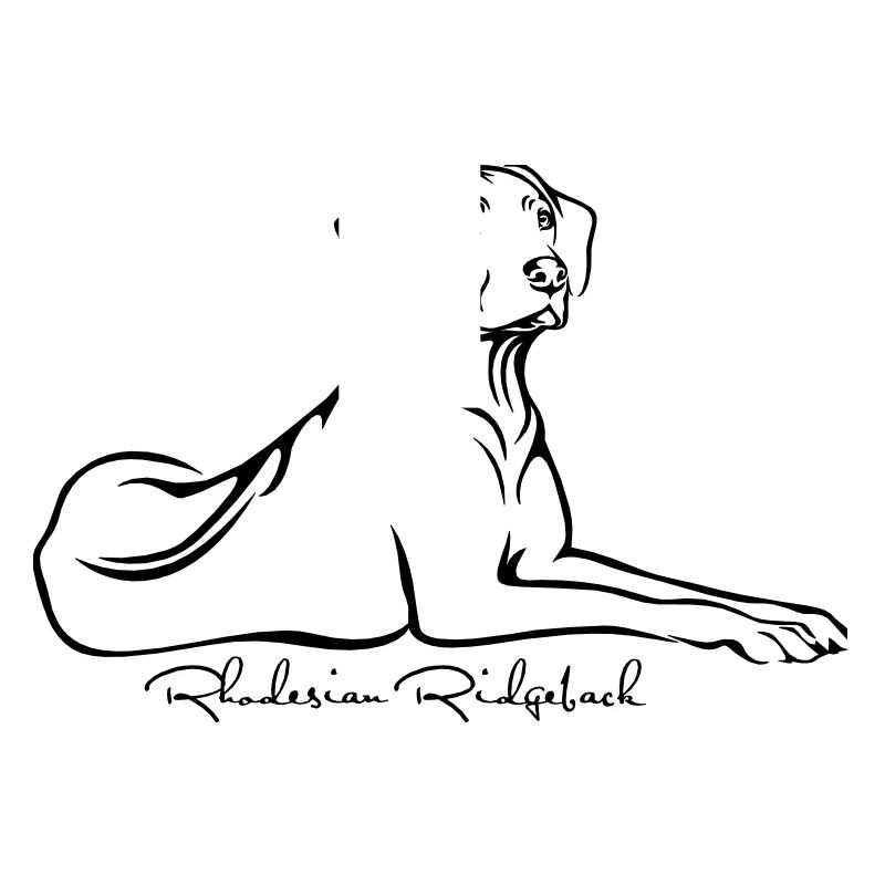 Rhodesian Ridgeback liegend mit Ridge